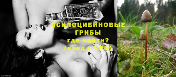 СК Анива