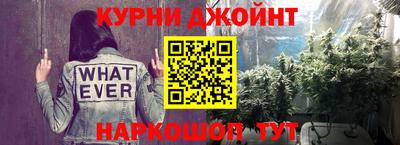 apvp Бийск