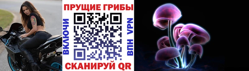 Галлюциногенные грибы Psilocybine cubensis  omg сайт  Балашиха  продажа наркотиков 
