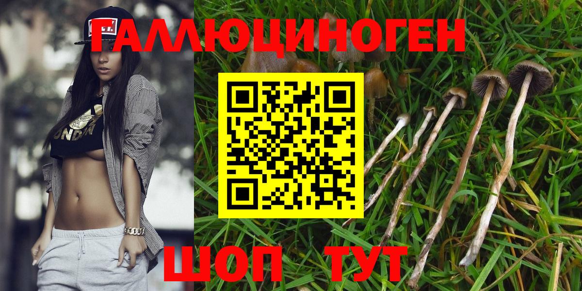 Балашиха  Галлюциногенные грибы мухоморы  Вход с VPN 