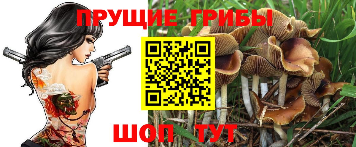 Галлюциногенные грибы Cubensis Балашиха