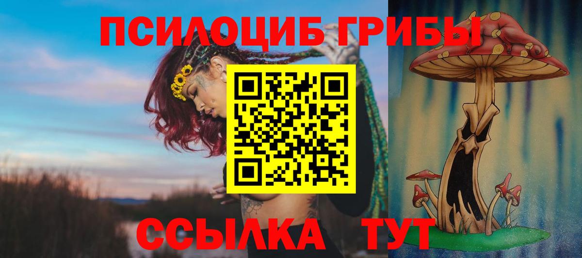 Галлюциногенные грибы Magic Shrooms Балашиха